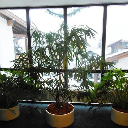Ferienwohnung Aeschi Park Aeschi Bei Spiez