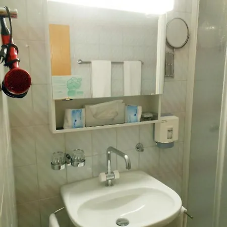 Ferienwohnung Aeschi Park *
