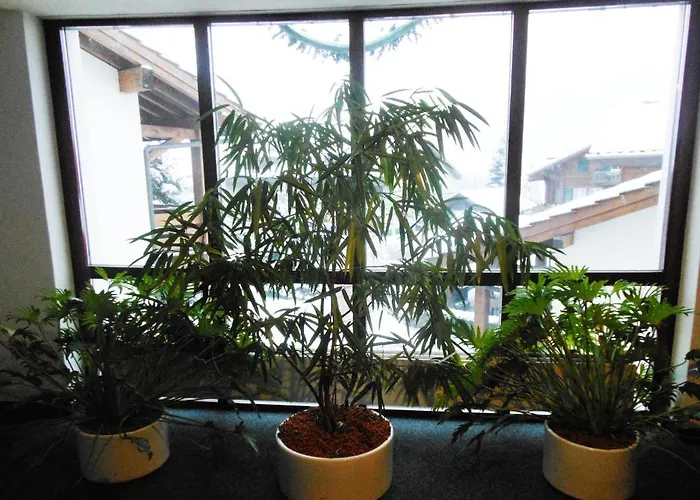 Ferienwohnung Aeschi Park Aeschi Bei Spiez